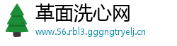 革面洗心网